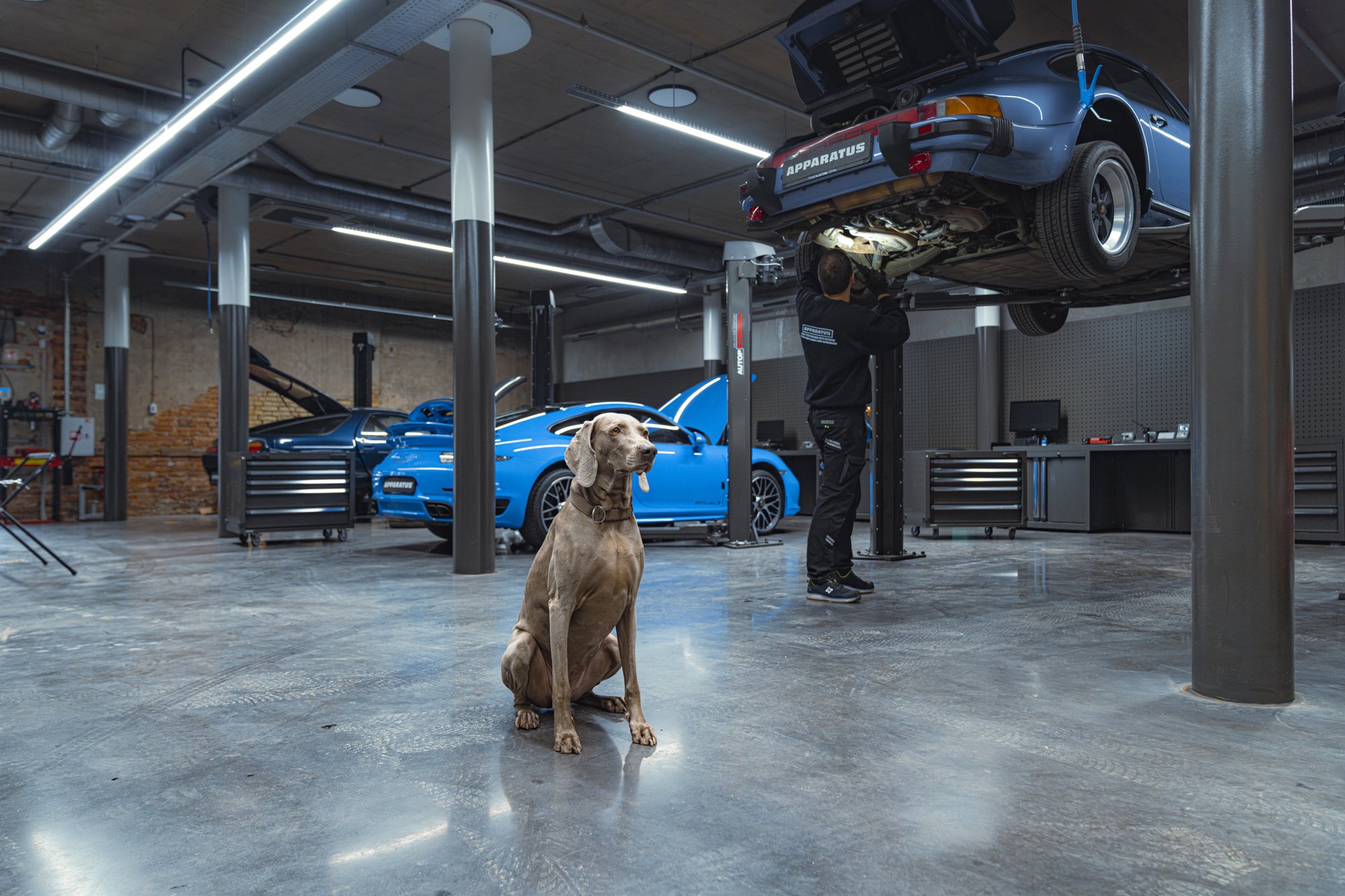 Lumber Room Werkstatt mit DEA Einrichtung in RAL 7022: Mechaniker arbeitet an Oldtimer, blauer Sportwagen auf der Hebebühne.